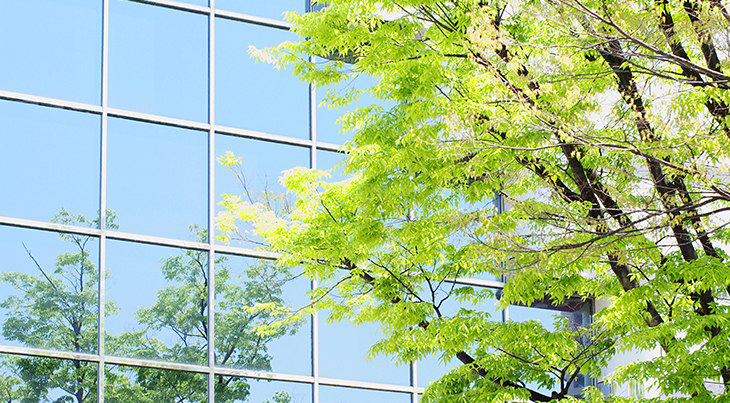 Trees reflection on buildings